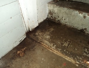 Waterproofing for water intrusion in Cleveland OK homes