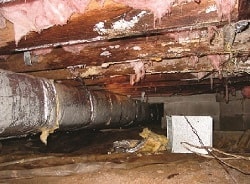 damp, humid crawl space in Muskogee, Oklahoma