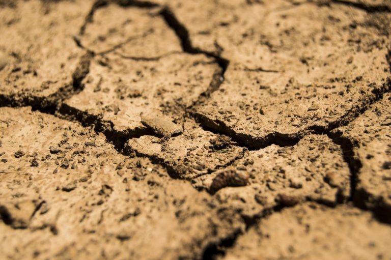 Image shows red earth, soil that can affect a foundation.