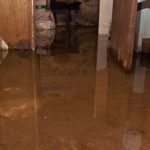 waterproof your basement