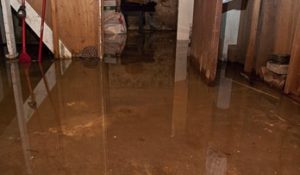 waterproof your basement