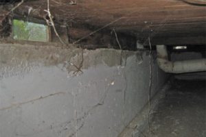 crawl space repair