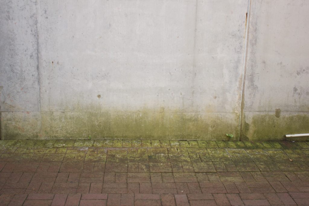 residential water management can help prevent mold growth as pictured here. 