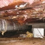 crawl space repair