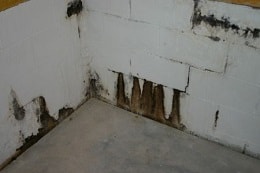 crawl space repair johnston